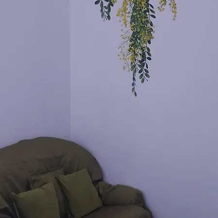 Best Room Apartment Tirana